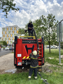 Katasztrófavédelem