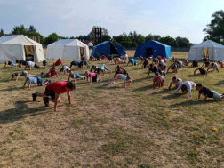 Katasztrófavédelem