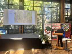 Katasztrófavédelem