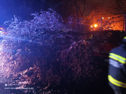 Tűzoltói beavatkozások vármegyénkben az erős szél miatt