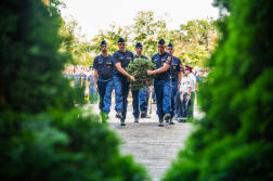 Ünnepség
