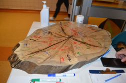 Katasztrófavédelem